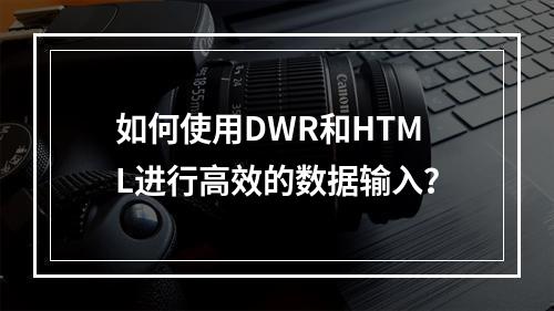 如何使用DWR和HTML进行高效的数据输入?