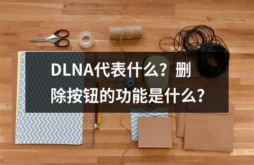 DLNA代表什么?删除按钮的功能是什么?