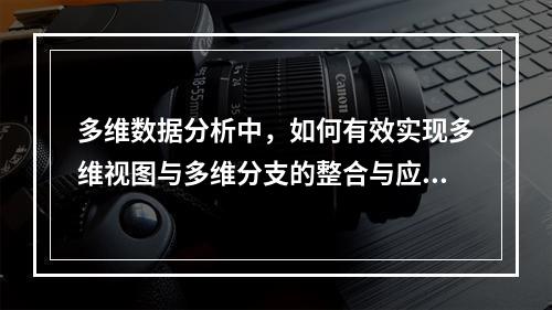 多维数据分析中,如何有效实现多维视图与多维分支的整合与应用?