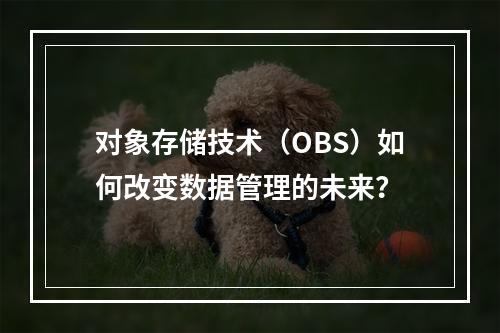 对象存储技术(OBS)如何改变数据管理的未来?