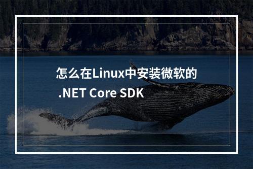 怎么在Linux中安装微软的 .NET Core SDK