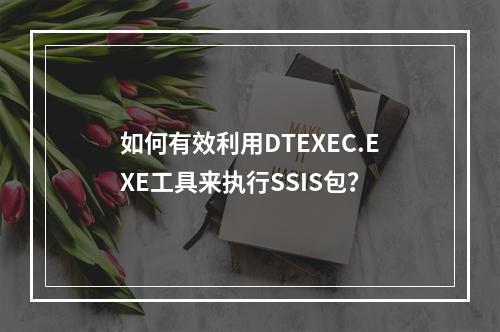 如何有效利用DTEXEC.EXE工具来执行SSIS包?