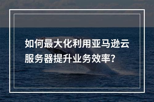 如何最大化利用亚马逊云服务器提升业务效率?