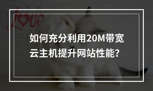如何充分利用20M带宽云主机提升网站性能?