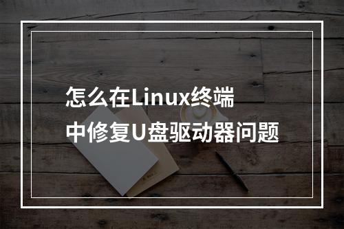 怎么在Linux终端中修复U盘驱动器问题