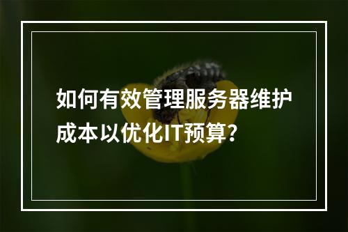 如何有效管理服务器维护成本以优化IT预算?