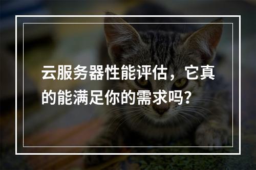 云服务器性能评估,它真的能满足你的需求吗?