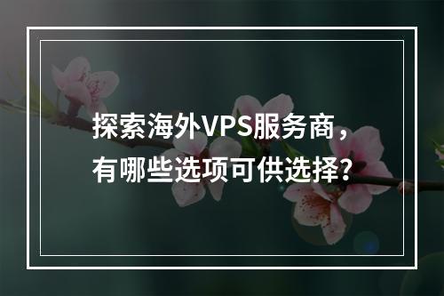 探索海外VPS服务商,有哪些选项可供选择?
