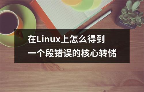 在Linux上怎么得到一个段错误的核心转储