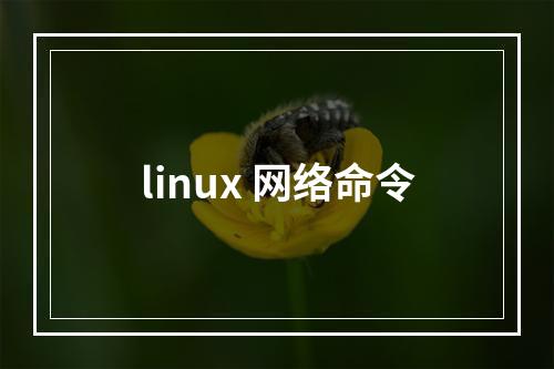 linux 网络命令