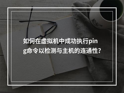 如何在虚拟机中成功执行ping命令以检测与主机的连通性?