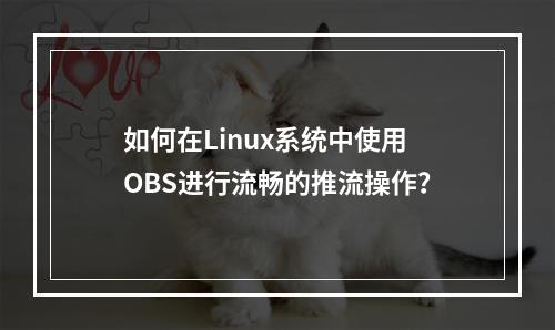 如何在Linux系统中使用OBS进行流畅的推流操作?