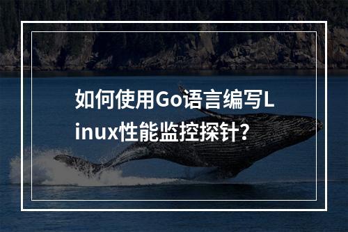 如何使用Go语言编写Linux性能监控探针?