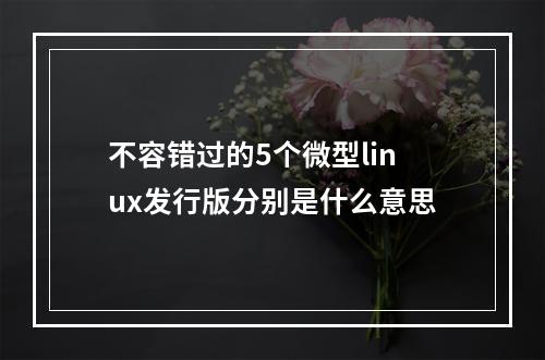 不容错过的5个微型linux发行版分别是什么意思