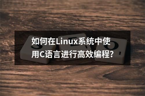 如何在Linux系统中使用C语言进行高效编程?