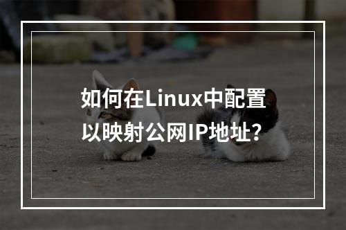 如何在Linux中配置以映射公网IP地址?