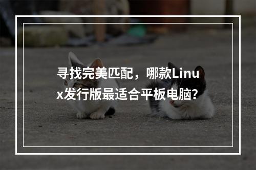 寻找完美匹配,哪款Linux发行版最适合平板电脑?
