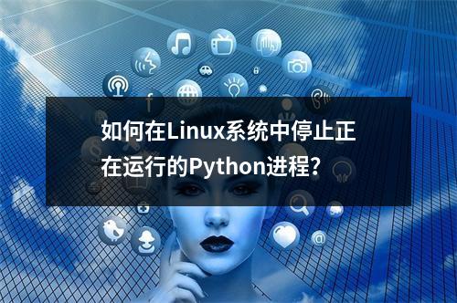 如何在Linux系统中停止正在运行的Python进程?