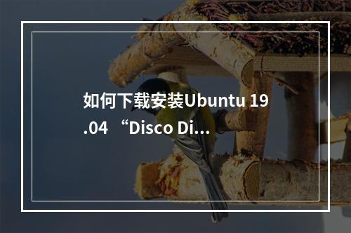 如何下载安装Ubuntu 19.04 “Disco Dingo”