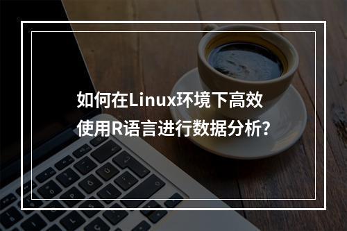 如何在Linux环境下高效使用R语言进行数据分析?