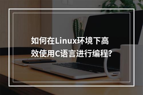 如何在Linux环境下高效使用C语言进行编程?