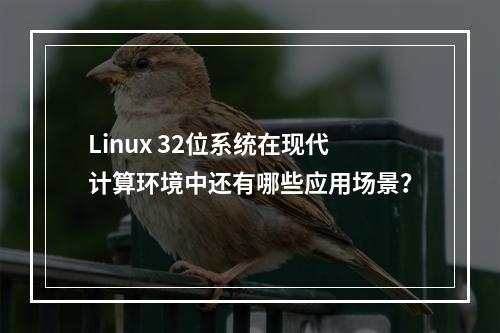 Linux 32位系统在现代计算环境中还有哪些应用场景?