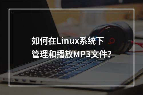 如何在Linux系统下管理和播放MP3文件?