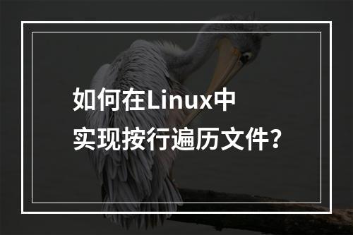 如何在Linux中实现按行遍历文件?