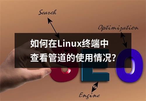 如何在Linux终端中查看管道的使用情况?
