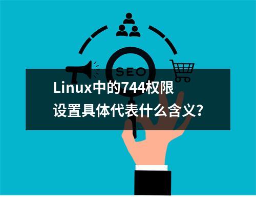 Linux中的744权限设置具体代表什么含义?