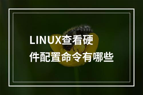 LINUX查看硬件配置命令有哪些