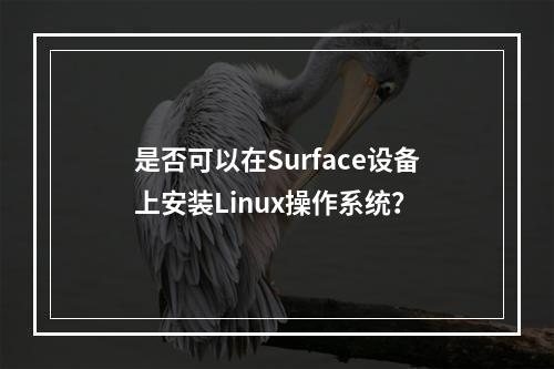 是否可以在Surface设备上安装Linux操作系统?