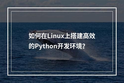 如何在Linux上搭建高效的Python开发环境?