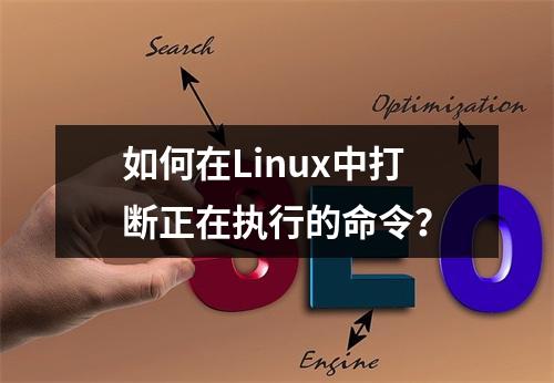 如何在Linux中打断正在执行的命令?