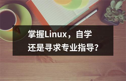 掌握Linux,自学还是寻求专业指导?
