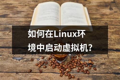 如何在Linux环境中启动虚拟机?