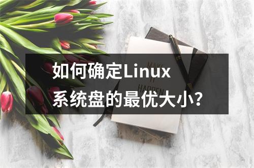 如何确定Linux系统盘的最优大小?