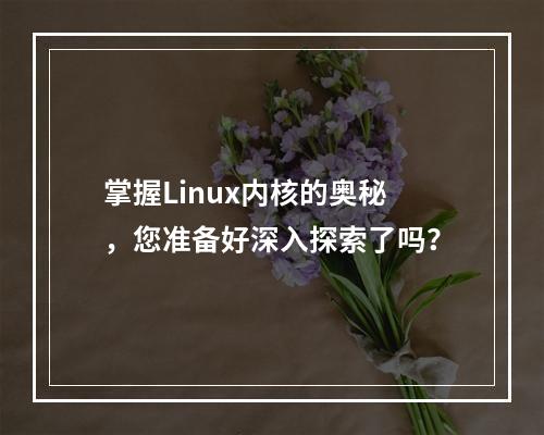 掌握Linux内核的奥秘,您准备好深入探索了吗?