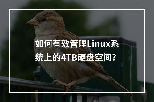 如何有效管理Linux系统上的4TB硬盘空间?