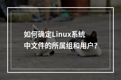 如何确定Linux系统中文件的所属组和用户?