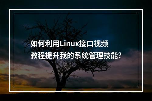 如何利用Linux接口视频教程提升我的系统管理技能?