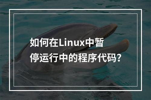 如何在Linux中暂停运行中的程序代码?