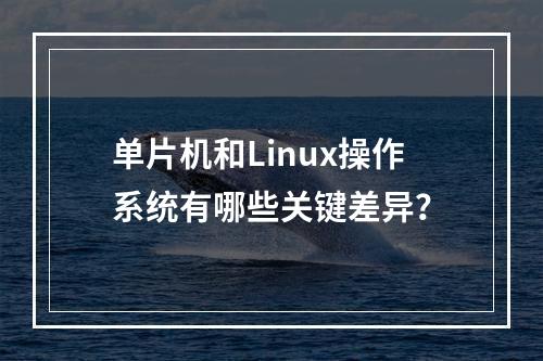 单片机和Linux操作系统有哪些关键差异?