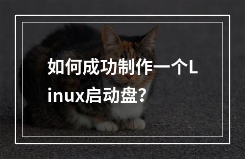 如何成功制作一个Linux启动盘?