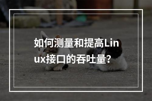 如何测量和提高Linux接口的吞吐量?