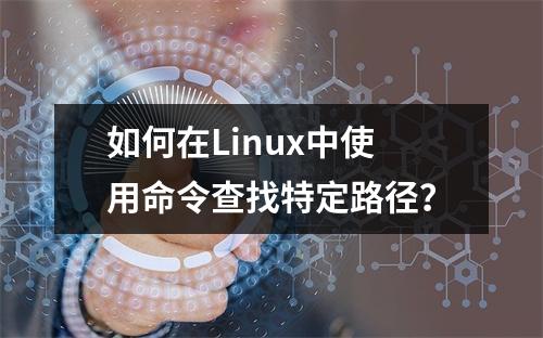 如何在Linux中使用命令查找特定路径?
