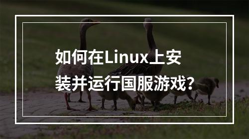 如何在Linux上安装并运行国服游戏?