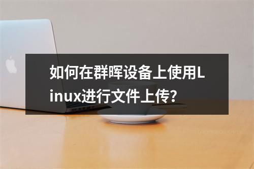 如何在群晖设备上使用Linux进行文件上传?