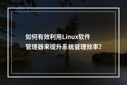 如何有效利用Linux软件管理器来提升系统管理效率?
