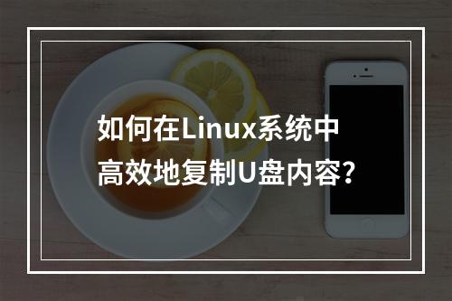 如何在Linux系统中高效地复制U盘内容?